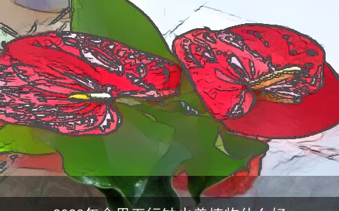 2023年命里五行缺火养植物什么好