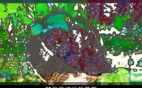 梦见亲戚送我葡萄