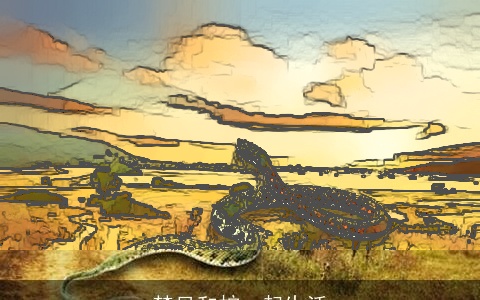 梦见和蛇一起生活