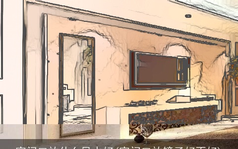 家门口放什么风水好(家门口放镜子好不好)