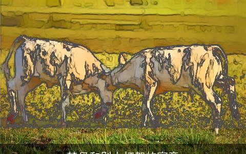 梦见和别人打架的寓意