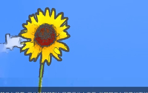 梦见向日葵_周公解梦梦到向日葵是什么意思_做梦梦见向日葵好不好