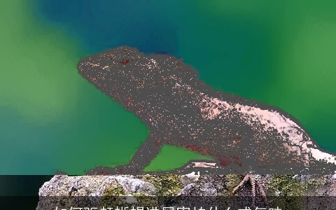 如何驱赶蜥蜴进屋害怕什么或气味