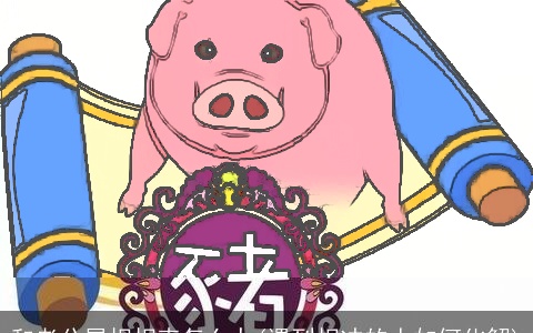 和老公属相相克怎么办(遇到相冲的人如何化解)