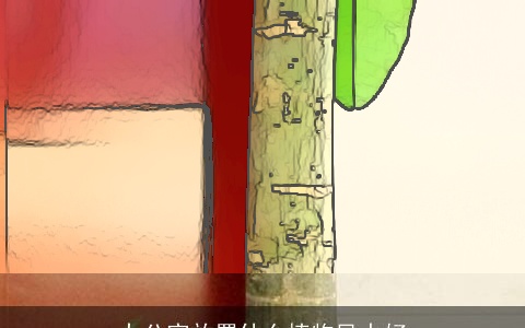 办公室放置什么植物风水好