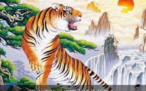 下山虎的忌讳家中挂虎的意义