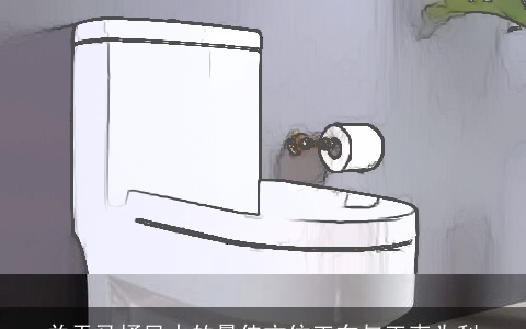 关于马桶风水的最佳方位正东与正南为利