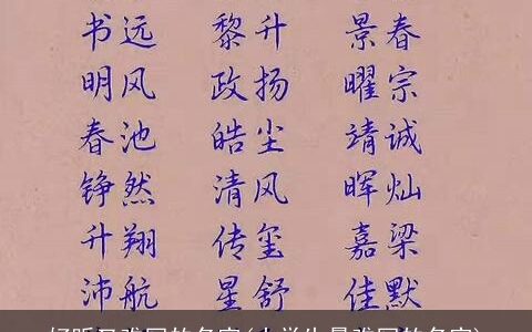 好听又难写的名字(小学生最难写的名字)