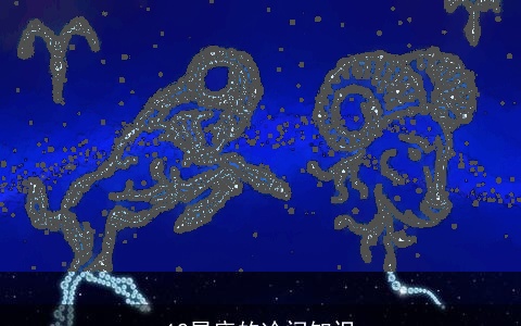 12星座的冷门知识