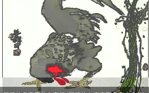 属鸡的名字带什么字好(属鸡的女宝宝取名字大全集)