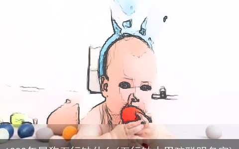 1982年属狗五行缺什么(五行缺木男孩聪明名字)