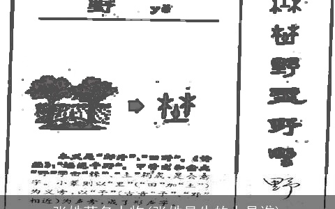 张姓著名人物(张姓最牛的人是谁)