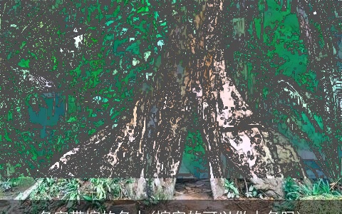 名字带榕的名人(榕字的可以做人名吗)