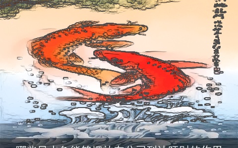 哪些风水鱼能够摆放在公司到达旺财的作用