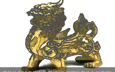 貔貅放在饭店什么位置好(购买貔貅有什么讲究吗)