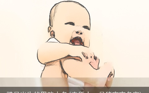 腊月出生的男孩小名(农历十一月猪宝宝名字)