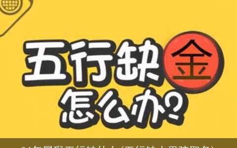 04年属龙五行缺什么(五行缺火男孩取名)