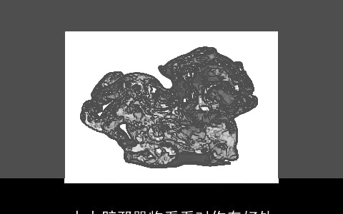 十大辟邪器物看看对你有好处