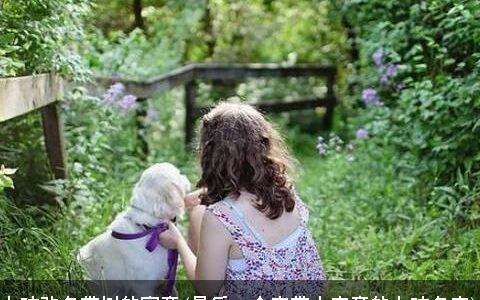 女孩改名带树的寓意(最后一个字带木字旁的女孩名字)