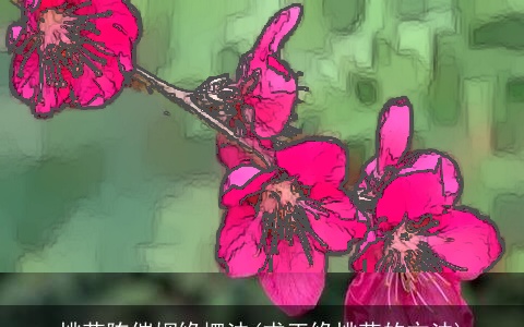 桃花阵催姻缘摆法(求正缘桃花的方法)