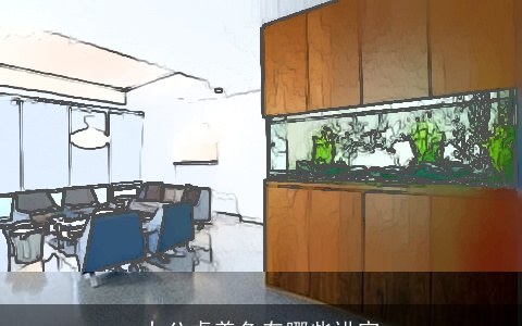 办公桌养鱼有哪些讲究