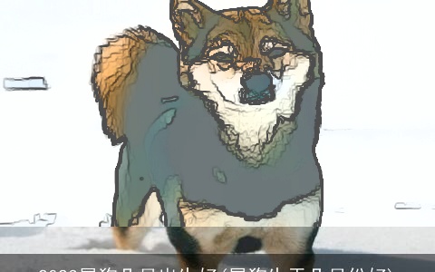 2023属狗几月出生好(属狗生于几月份好)