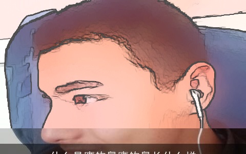 什么是鹰钩鼻鹰钩鼻长什么样