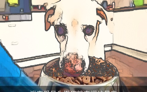 谈恋爱只为撒狗粮夸耀的星座