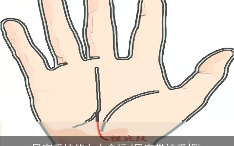 风字手纹的女人命运(风字掌纹手相)
