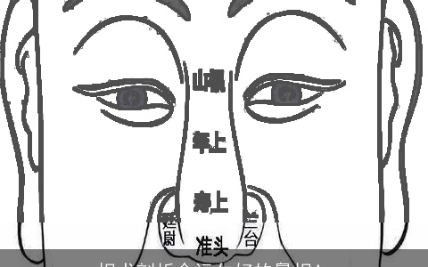 相术剖析命运欠好的鼻相！