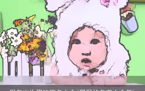 猴年出生男孩取名大全(属猴的名字大全集)