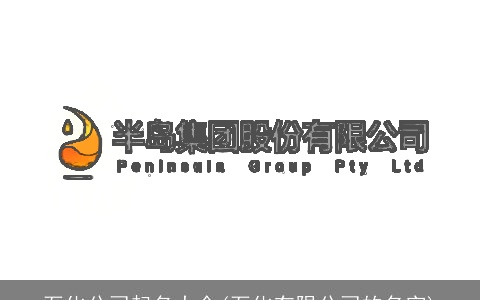 石化公司起名大全(石化有限公司的名字)