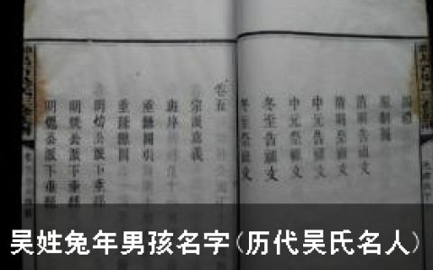 吴姓兔年男孩名字(历代吴氏名人)