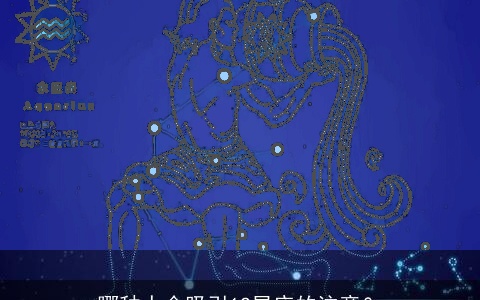 哪种人会吸引12星座的注意？