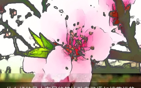 什么样的风水布局能够协助自己添加桃花运势