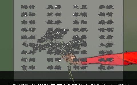 姓武好听的男孩名字(姓武的女孩叫什么好听)