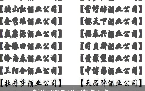 新公司取名(公司起名要点)