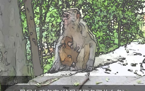 属猴女孩名字(给猴子取名取什么名)