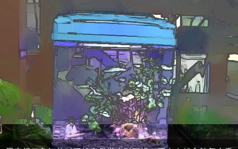 原来门口鱼缸放对了特容易发大财可惜一不小心就会煞气太重