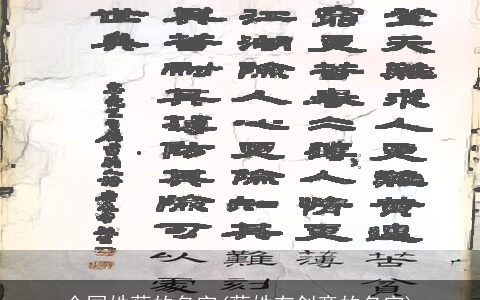 全国姓蔡的名字(蔡姓有创意的名字)