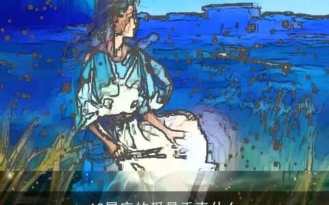 12星座的爱最垂青什么