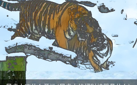 属虎人吃什么开运(属虎人的招财神器是什么)