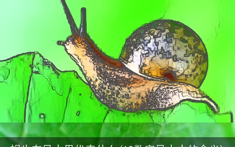 蜗牛在风水里代表什么(18数字风水中的含义)