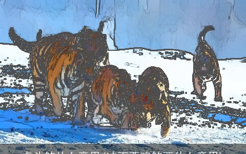 虎头煞什么意思(冲丁酉鸡煞西什么意思)