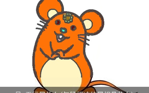 风 五行属什么(与鼠相冲的属相是什么)