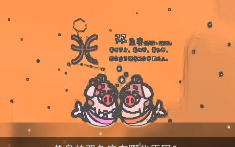 单身的双鱼座有哪些原因？