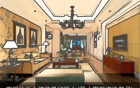 客厅放什么植物最好风水(风水客厅摆设禁忌)