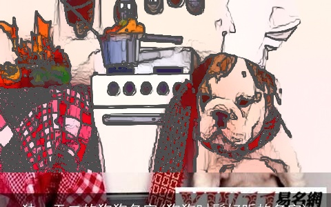 独一无二的狗狗名字(狗狗时髦好听的名字)