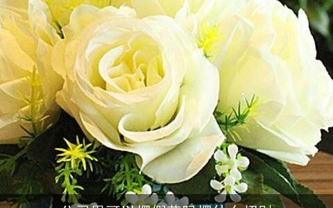 公司里可以摆假花吗摆什么招财