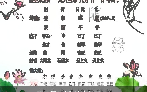 庚酉年(己酉是什么意思)